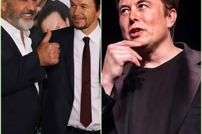 Impactante! Mel Gibson y Mark Wahlberg se unen a Elon Musk para invertir entre 1.000 y 3.000 millones de dólares en un estudio de cine “anti-woke” que defiende los valores familiares tradicionales