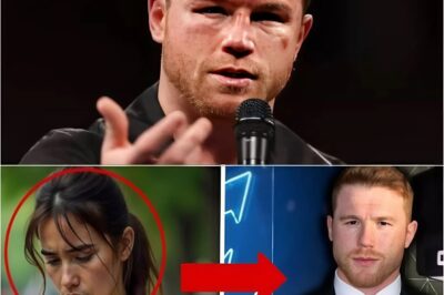 Mesera es echada por ayudar a Canelo, pero lo que pasó al día siguiente le cambió la vida para siempre