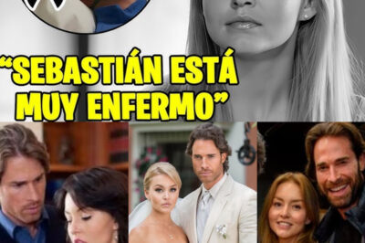 ¡Se acabó el cuento de hadas! Sebastián Rulli y Angelique Boyer destapan el motivo que los separa