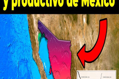 El Estado Méxicano más codiciado de EEUU