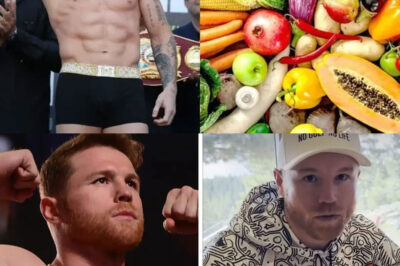 Canelo Explica Tengo 3 Dias Sin Comer Nada canelo sufriendo para dar peso con william scull!
