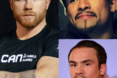 CANELO ALVAREZ NO CONOCE LA LEALTAD, reacción de JUAN MANUEL MÁRQUEZ