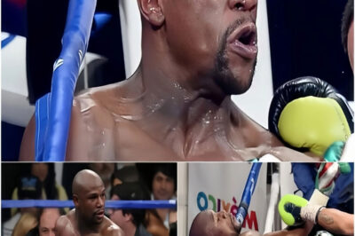 “FIN DE UNA ERA” Mayweather perdió su récord invicto después de un sorprendente nocaut en el octavo asalto ante John Gotti III, lo que provocó caos y pérdidas de hasta 135 millones de dólares.