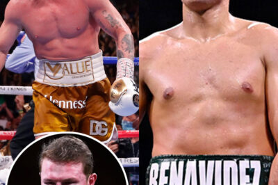 ¡Canelo rechaza 70 millones y enciende la furia del boxeo! La polémica decisión que sacude su legado, divide a los fans y lanza a Benavidez en una cruzada de venganza