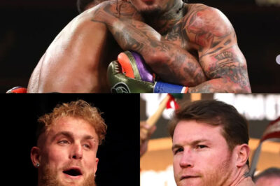 ¡TRAICIÓN Y HUMILLACIÓN! Canelo deja plantado a Jake Paul y lo cambia por un rival desconocido
