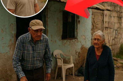 El día que Canelo Álvarez tocó una puerta y cambió México: la impactante historia del campeón mundial que abandonó los guantes para rescatar ancianos olvidados, creando ‘Campeones de la Vida’ y revolucionando un país entero