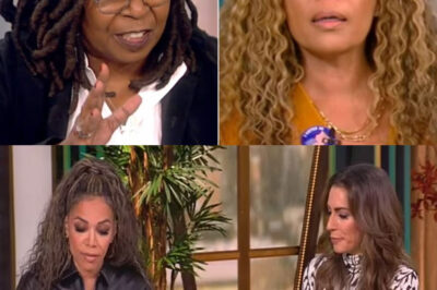 Live TV Meltdown: What Made Whoopi Goldberg Snap at Her Co-Hosts on The View – and Why the Fiery Fight Over Trump’s Education Pick Has Viewers Divided
