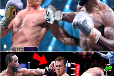 “¡LA SORPRESA DEL SIGLO!” ¡Canelo Álvarez se derrumba tras perder 600 millones de dólares en una sorprendente derrota ante Terence Crawford!
