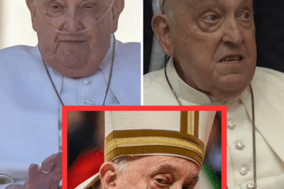 El Papa Francisco, antes de morir, pidió despedirse de Dilio, su viejo perro de raza Braco Italiano.