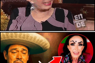 Irma Serrano Finalmente Confiesa La Impactante Verdad Sobre Javier Solís