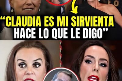 Gómez Mont Finalmente Confesó Lo Que Todos….