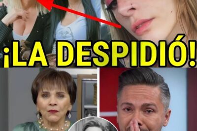 “Ponte a trabajar”: Pati Chapoy confronta al hermano de Daniel Bisogno tras revelar ruptura familiar por la herencia