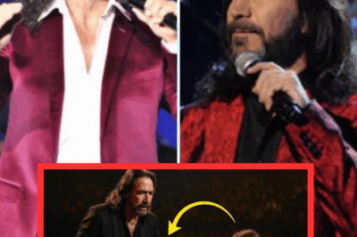 Marco Antonio Solís ve a una niña llorando en el concierto…