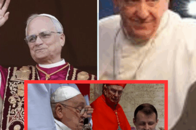 El Papa Francisco Muere A Los 88 Años Y La Verdad Oculta Es Confirmada Dejándonos Perplejos