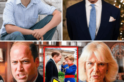 Príncipe William LE QUITA TODO al nieto de Camilla tras un incidente con George
