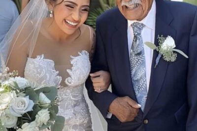 MIS PADRES SE NEGARON A ASISTIR A MI BODA PORQUE MI NOVIA ERA POBRE — 10 AÑOS DESPUÉS, ROGARON POR VOLVER A TENER CONTACTO.