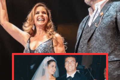 La verdad sale a la luz: El acuerdo millonario detrás del divorcio de Mijares y Lucero