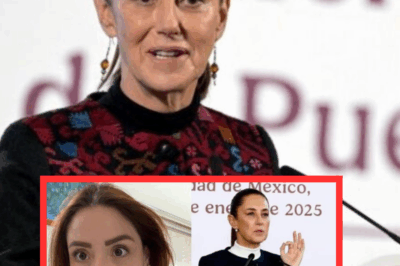 “ENGAÑO A MUCHOS PERO HASTA AQUI”¿Claudia Sheinbaum Tras MARYFER CENTENO?