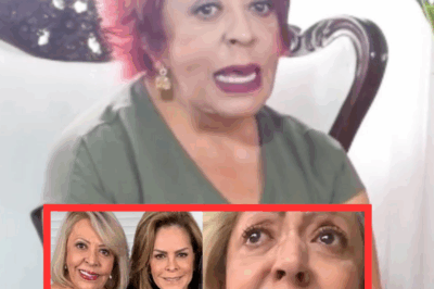 Veronica Gallardo EXPLOTA CONTRA Pati Chapoy Y Flor Rubio: “¿De Qué Estudian Si Hablan A Lo Tarugo?” 😡🧐 Veronica Gallardo no tiene filtros y arremete contra Pati Chapoy y Flor Rubio, a quienes les pide que “mejor se pongan a estudiar” en lugar de opinar sin saber sobre trayectorias de artistas como Cazzu. La periodista asegura que estas figuras del espectáculo no se preparan lo suficiente y hablan “a lo idiota” sobre los personajes que critican. Además, Gallardo revela su desprecio por Ángela Aguilar, diciendo que ni siquiera se acercaría a entrevistarla por su falta de sinceridad. En cambio, tiene palabras algo más amables para Christian Nodal. ¿Quieres conocer toda la furia de Veronica Gallardo y qué más dijo sobre las figuras del medio? Haz clic para descubrir todos los detalles