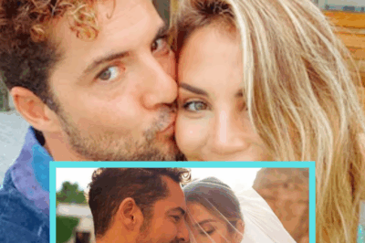 VIDEO: El emotivo video que la esposa de David Bisbal le dedico por su cumpleaños