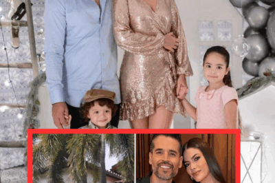 VIDEO: La lujosa casa donde vive Ana Patricia Gámez en Miami