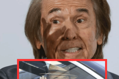 La verdad sale a la luz: Raphael atravesó una etapa difícil de salud mental