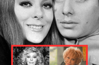 El testamento de Silvia Pinal podría quedar ‘clausurado’ por varios meses tras la muerte de uno………..