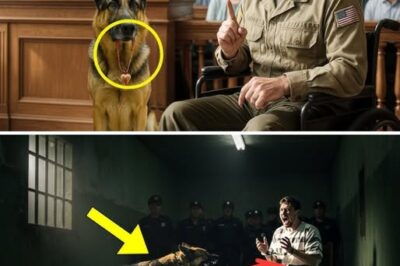 El último deseo de un condenado: ver a su perro. Lo que vino después cambió la historia.
