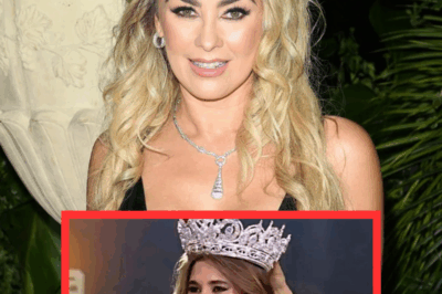 La respuesta Yamilex al juez Aracely Arámbula que dio la corona en el reality de Miss Universo Latina