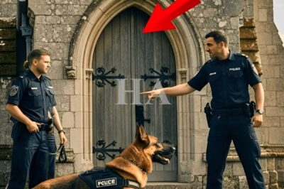 K9 Won’t Stop Staring at Church—Cops Find 40 Missing Girls Inside