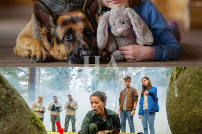 Héroe K9 Encuentra a Niña Desaparecida Tras 5 Años—Y Revela un Oscuro Secreto del Bosque