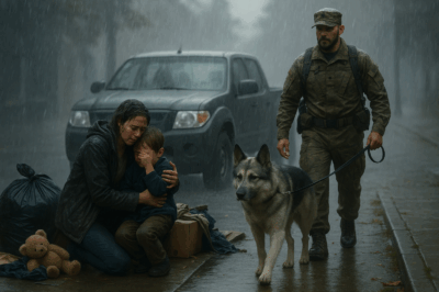 Una Viuda y su Hijo eran Desalojados en las Lluvia — y un Soldado y su Perro Revelan una Promesa