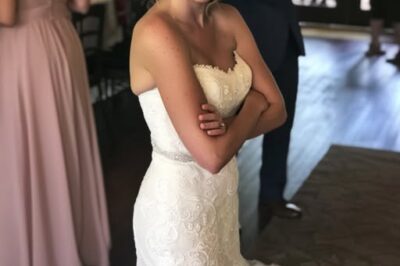 La Boda Robada: El Conflicto de las Hermanas.