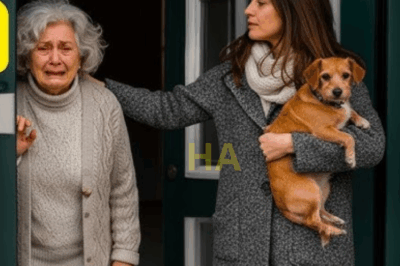 Mi hija ganó $10 millones y me echó… sin saber que el boleto estaba a mi nombre.