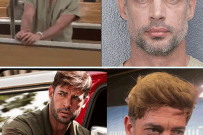 ¡SORPRESA TOTAL! William Levy se libra del juicio y nadie esperaba lo que hizo