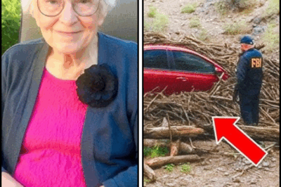 Maestra jubilada desapareció de su casa, 8 meses después encuentran su auto en un bosque…