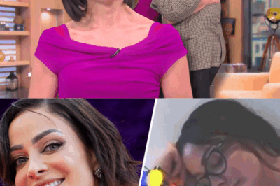 No era necesario¡ así fue como Raúl de Molina ofendió a Dayanara Torres en Univision