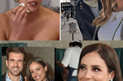Aleyda Ortiz rompe el silencio en Telemundo sobre la demanda de Alejandro Chaban a su esposo