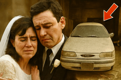 Una Pareja Desapareció Después De Su Boda En 1996 — 14 Años Después, Su Auto De Alquiler Fue…