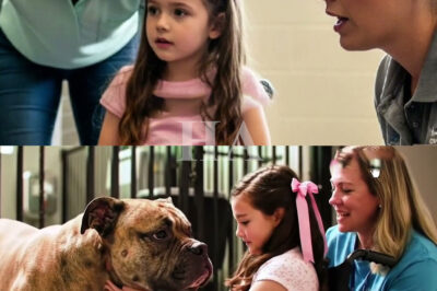 La niña que pidió ver al peor perro del refugio (y lo que ocurrió cuando estiró la mano)