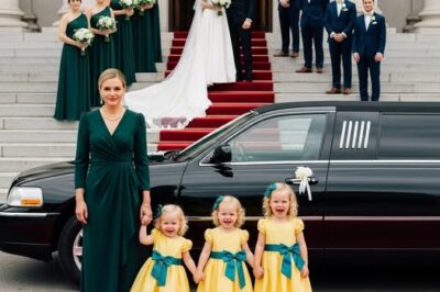 Él Invitó a Su Pobre Exesposa Para Humillarla En Su Boda—Pero Ella Llegó En Una Limusina Con Sus Trillizas…