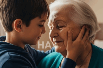 Cada tarde, al salir de la secundaria, Tomás caminaba por las calles empedradas con su mochila colgando de un solo hombro y una flor silvestre cuidadosamente protegida entre sus dedos. No importaba si llovía………