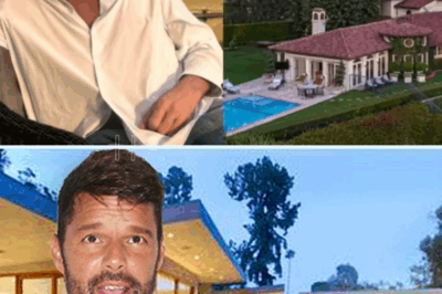 Ricky Martin pone a la venta su mansión en Nueva York por esta jugosa suma