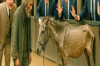 UN MILLONARIO LE DIO UN CABALLO INÚTIL A UN VAGABUNDO COMO BROMA, PERO ARREPINTIÉNDOSE AMARGAMENTE..