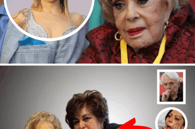 ¿Drama en los Pinal? Exasistente de Silvia Pinal e hijos de la actriz de Televisa pelearían su herencia