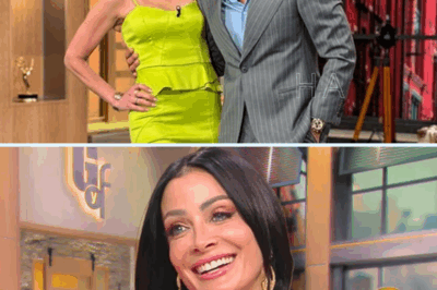 Dayanara Torres le responde a un fan con apenas 52 seguidores la foto que le comentó: “botox en los cachetes y labios”