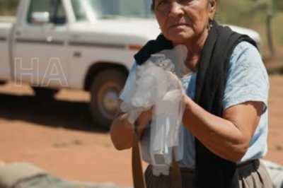 Cómo una ANCIANA de 73 AÑOS ELIMINÓ a 16 MIEMBROS del CÁRTEL en MEXICO