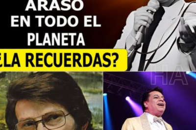 El Eco de una Generación: Las 10 Baladas Románticas de los 70 que Transformaron el Dolor en Eternidad y Aún Hacen Vibrar al Mundo