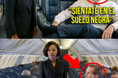 Se robó su asiento y la humilló… pero no sabía que ella era su única salvación