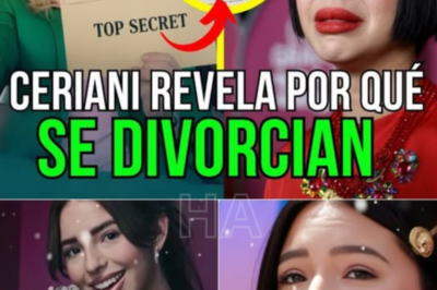 La Venganza de los $12 Millones: Nodal Presenta Pruebas de Infidelidad y Cobra una Deuda Millonaria a Ángela Aguilar